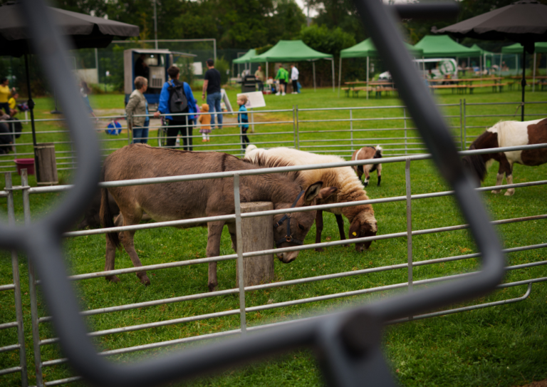 Sommerfest 2024